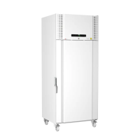 Gram BioPlus EF 660 W vriezer wit