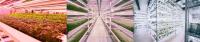 Valoya LED tube L28 - AP67
