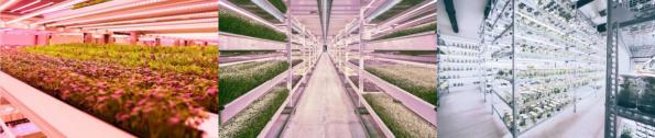 Valoya LED tube L28 - AP67