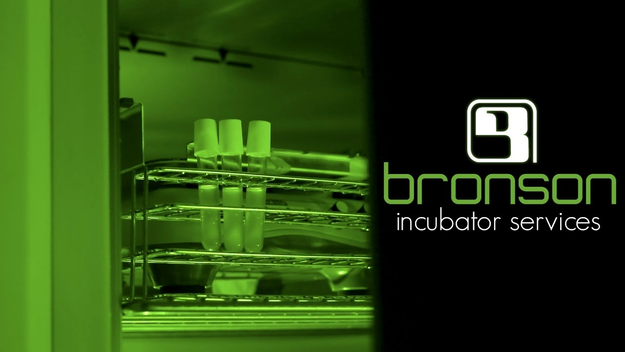 Bronson incubatoren